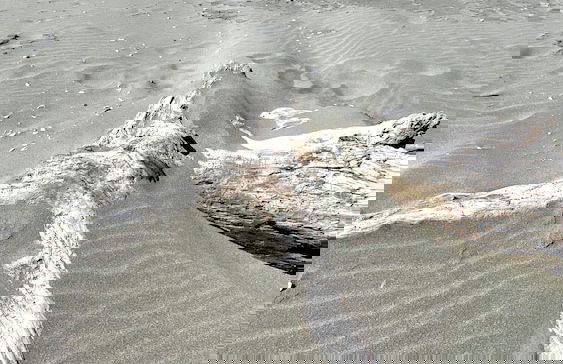 Agriturismo Tenuta Castel Venezze - Foto 55