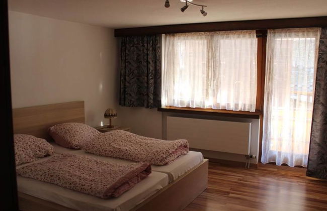 Silberdistel - Foto 13