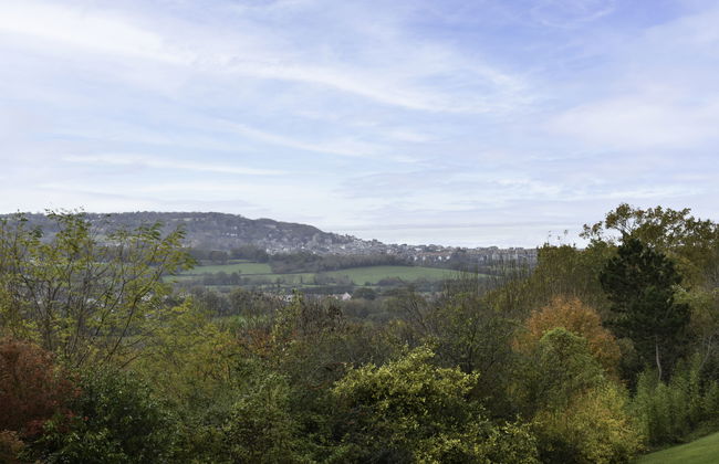 La Pinchonnière - Foto 19