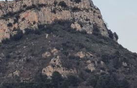 3 piéces raffiné au calme dans un cadre verdoyant - Foto 8