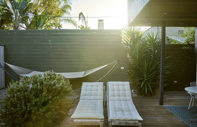 Cactus Flower - Foto 25