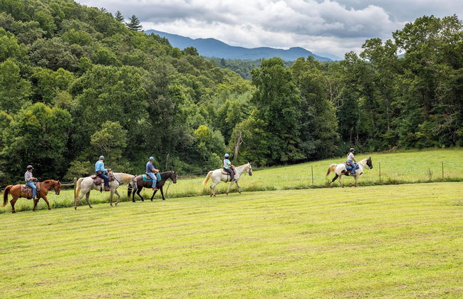 Springmaid Mountain - Foto 41