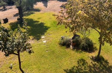 Country Vila - Foto 44