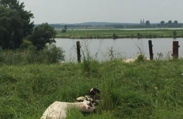 Ferienhaus Am Dombogen - BARRIEREFREI - 2 Schlafzimmer ab 3 Personen - mindestens 3 Nächte Aufenthalt - Foto 59