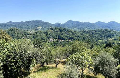Tenuta da Mosè con vista sui colli asolani - Foto 2