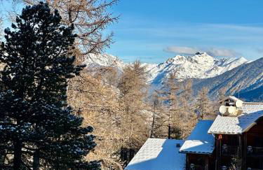 Studio au pied des pistes avec terrasse - Foto 10