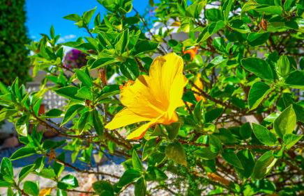 Inftour La viña Bungalow - Foto 38