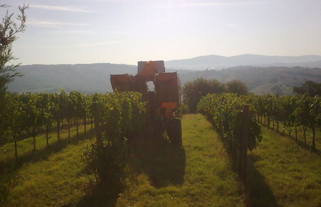 Agriturismo Il Borghetto - Photo 51