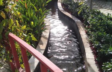 Corais de Flecheiras - Foto 31