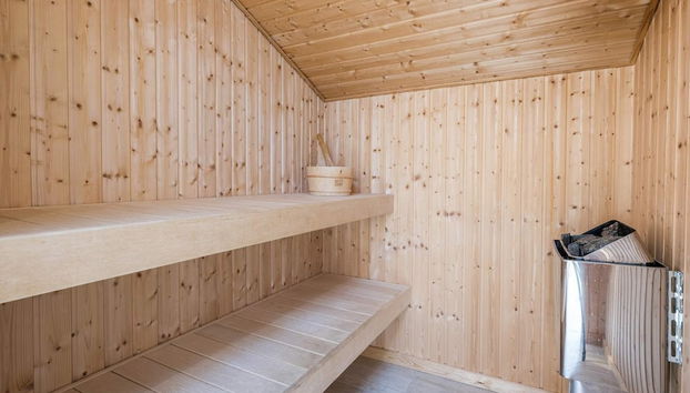 6 Person Holiday Home in Henne - Foto 2, Sauna