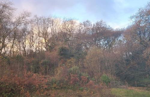 Wernddu Fechan House - Uk42932 - Photo 54