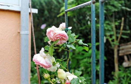 Ruheoase Kummerower See - Foto 20