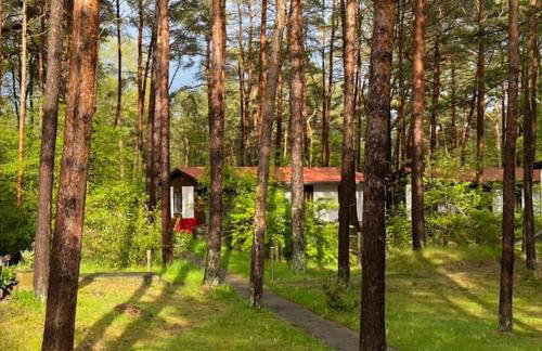 Bungalow im Kiefernwald direkt an der Ostsee (a) - Foto 2