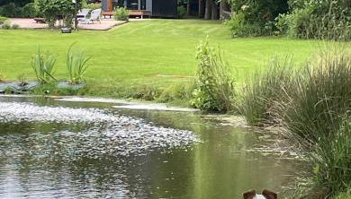 LA MAISON UGOLIN and INÈS - Foto 3