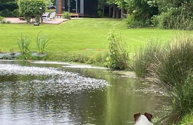 LA MAISON UGOLIN and INÈS - Foto 3