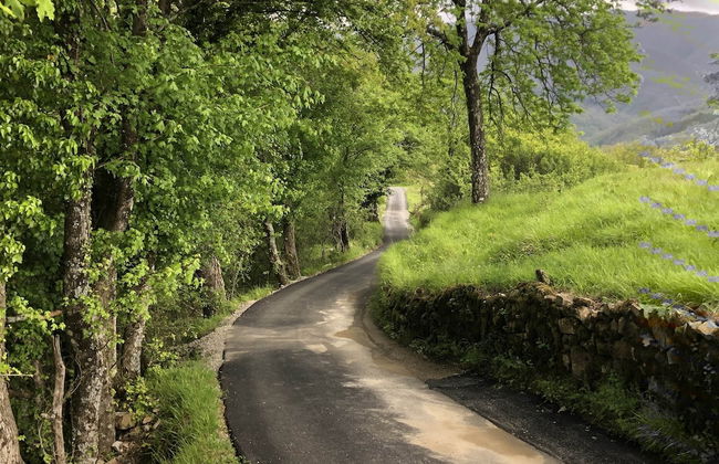 Holiday Home in Tuscany With Pool & Views - Foto 19