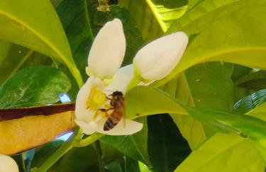 Agriturismo Casa del Contadino - Photo 80