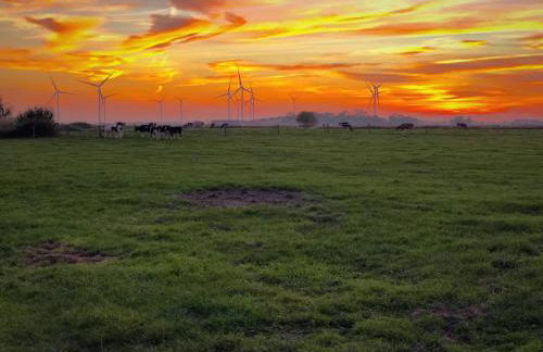 Minsener Warft - Photo 30