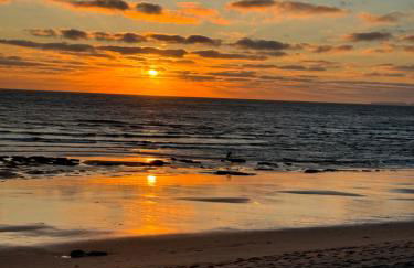 T1 Praia Areia Branca - Photo 29