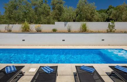 Luxury Villa Subventus - Photo 15