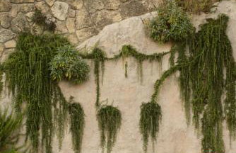 Corfu Tramezzo designer's House - Foto 46