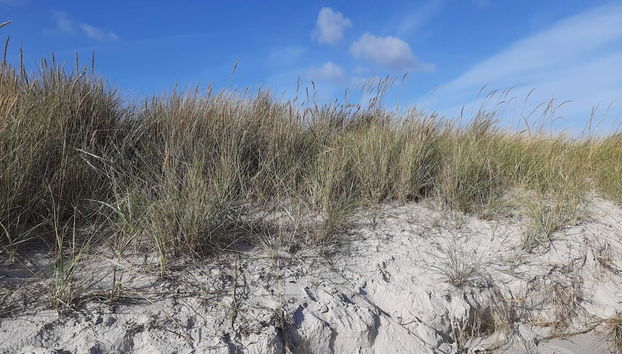 6 Person Holiday Home in Hadsund-by Traum - Foto 4