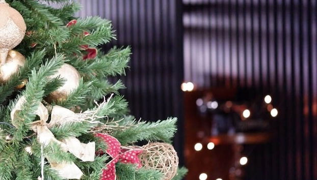 Entrada (vista interior)