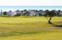 ATICO Costa TOYO - Foto 28