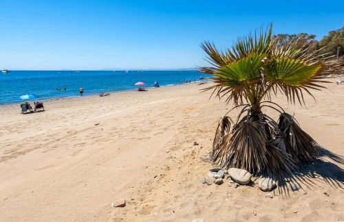 Flamenco Rose - Photo 49