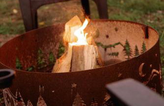 Creekside Fun Dog-friendly, Games & Fire Pit - Photo 48