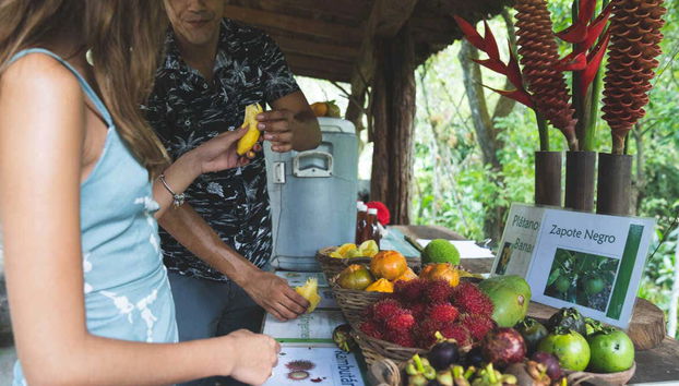 Excursion au Parc écologique de Hagia Sofia - Photo 3, Dégustation de fruits tropicaux