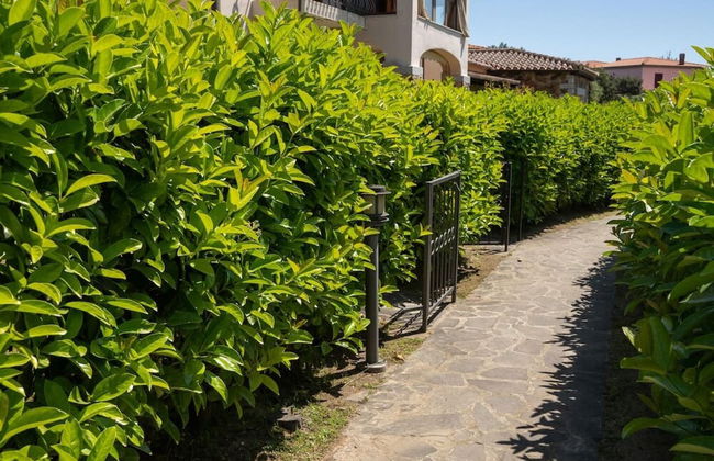 Welcomely - Il Bouquet - Foto 13