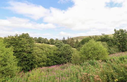 Cuckoo at Wild Valley Huts - Foto 16