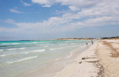 Short De Son Fideu - Foto 28