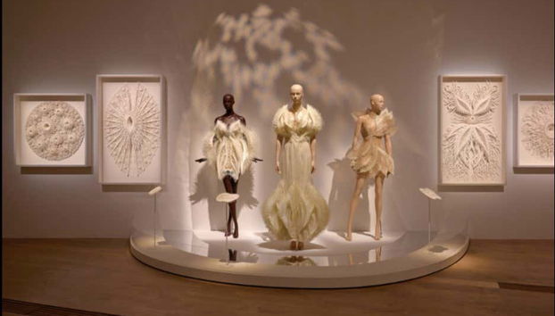 Singapore Art and Science Museum Ticket - Foto 4