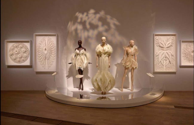 Singapore Art and Science Museum Ticket - Foto 4