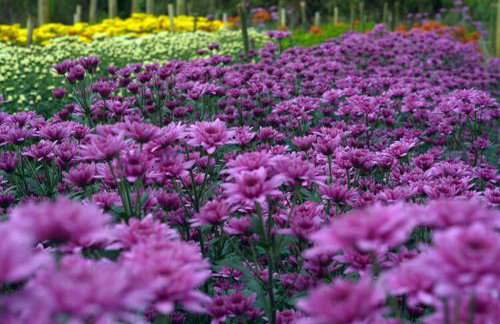 Casa da Cuca - Foto 42