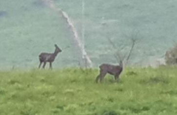 Casa vacacional Mirador de San Vicente - Foto 26