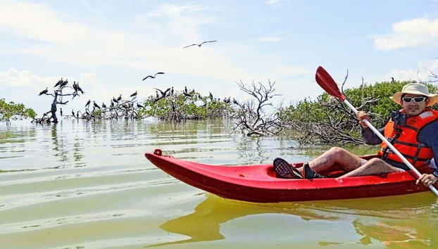 Tour en kayak por la laguna de Términos - Foto 3, Remando por los alrededores de Isla Aguada