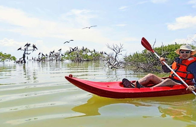 Tour della laguna di Términos in kayak - Foto 6