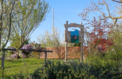 Gatti di Langa - Foto 3