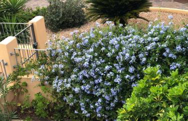 CASA JOLANDA - Foto 40