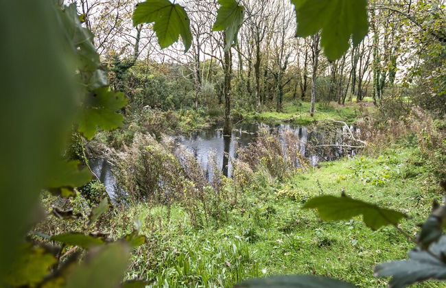 Lavender - Luxurious Barn Conversion - Foto 59