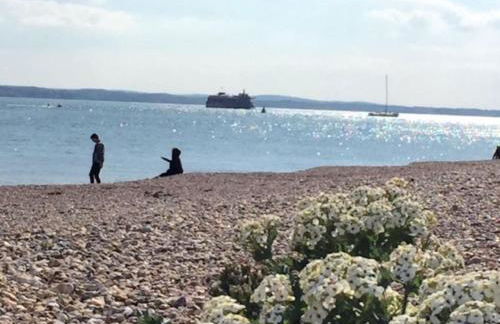 THE BEACH view - Photo 29