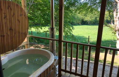 Breckland Lodge 3 with Hot Tub - Foto 7