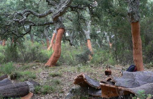 la fontana - Foto 72