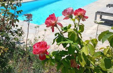 Anemelia & Helios Studio - Foto 1