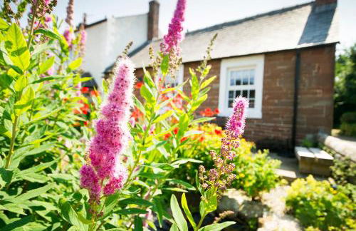 OLD CHAPEL Hayton Cumbria CA89HR - Foto 4