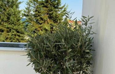 Angel Residence - Foto 37