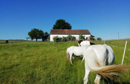 Ponyhof Adam Urlaub auf dem Bauernhof - Foto 55